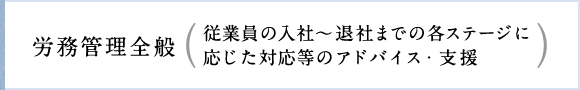 労務管理全般（従業員の入社～退社までの各ステージに応じた対応等のアドバイス・支援）